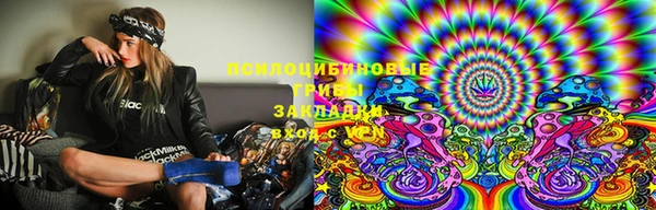 стафф Богородицк